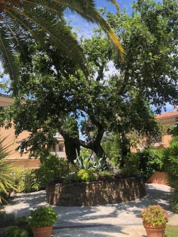 Belle Residence Au Centre De Saint Tropez Avec Piscine Et Garage Luaran gambar